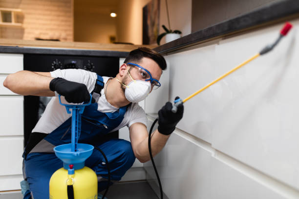 Best Wasp Removal Services  in Hampton Beach, NH