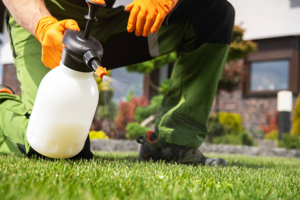 Best Flea Control Services  in Hampton Beach, NH