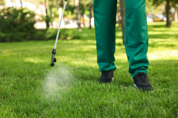 Best Affordable Pest Control Services  in Hampton Beach, NH
