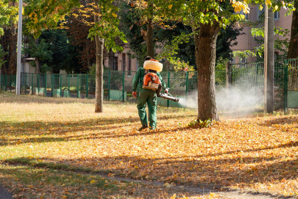 Best Best Pest Control Companies  in Hampton Beach, NH