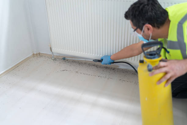 Trusted Hampton Beach, NH Pest Control Experts